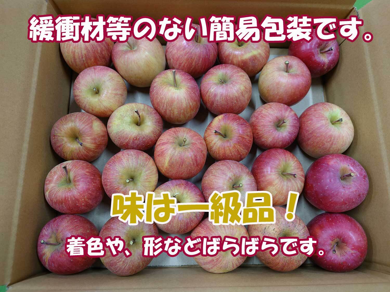 シャキシャキ葉とらず ふじりんご 約5kg 特別栽培農産物 長野県産 訳あり りんご リンゴ フルーツ 果物 おやつ デザート 信州 上田 家庭用