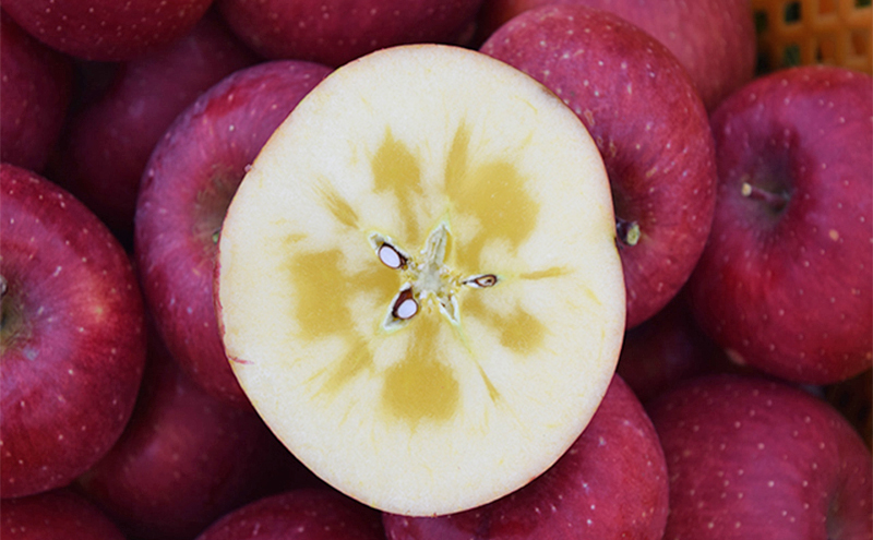 シャキシャキ葉とらず ふじりんご 約10kg 特別栽培農産物 長野県産 訳あり りんご リンゴ フルーツ 果物 おやつ デザート 信州 上田 家庭用