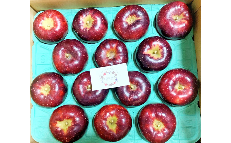 【2026年産】 訳あり りんご 秋映 約3kg 林檎 リンゴ 果物 くだもの フルーツ デザート 旬の果物 旬のフルーツ 訳アリ 長野県 長野 信州