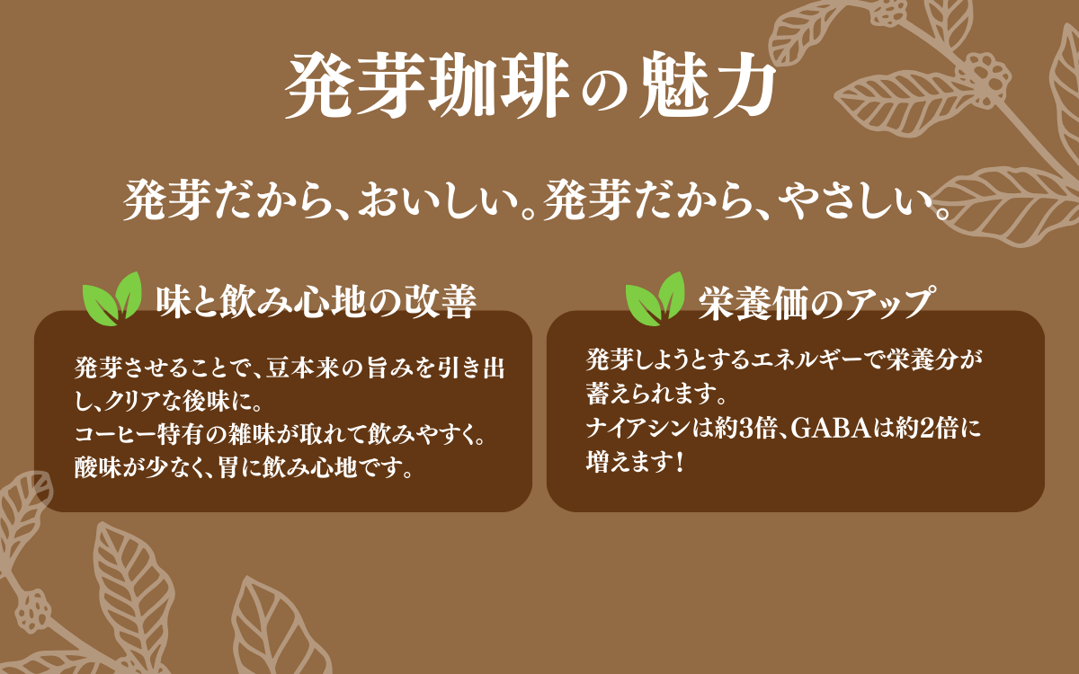 日本発！発芽珈琲　詰め合わせ コーヒー 発芽 珈琲 ドリップバッグ セット　(粉)