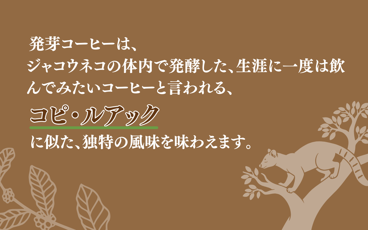 日本発！発芽珈琲　詰め合わせ コーヒー 発芽 珈琲 ドリップバッグ セット　(粉)