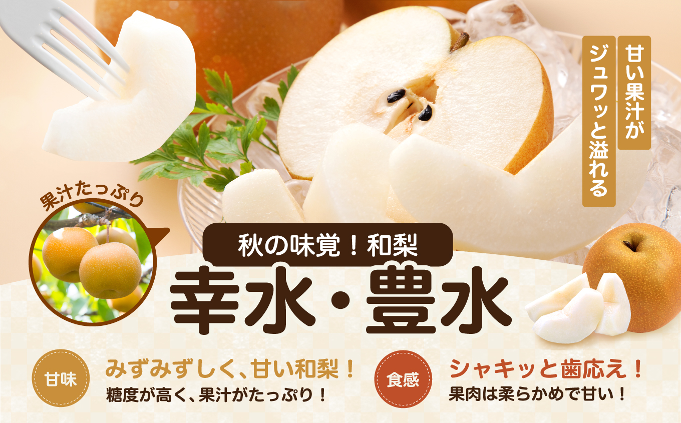 【2026年予約販売】溢れる 果汁 ジューシー な 梨 幸水 豊水 秀品 約10kg〈2026年8月下旬～9月中旬発送〉| 果物 くだもの フルーツ 梨 和梨 幸水 豊水 長野県 信州 南信州 飯田市