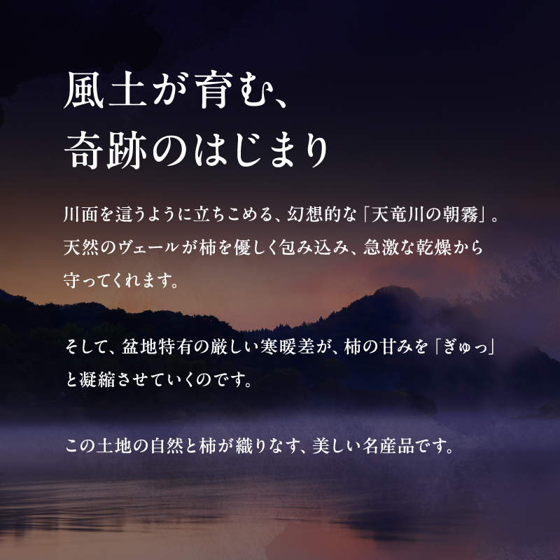 南信州産 市田柿 バラふぞろい 600g |  加工品 ドライフルーツ 果物 フルーツ 柿 市田柿 干し柿 長野県 飯田市 信州 600g