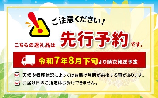 【皮ごとOK!】長野県産・ 種なし ナガノパープル (約2kg) 秀品〈2025年8月下旬～9月下旬発送〉 | 果物 くだもの フルーツ ぶどう ブドウ 葡萄 ナガノパープル 種なし 長野県 信州 南信州 飯田市