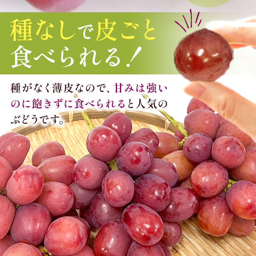 【2026先行予約】産地厳選! 長野県産 クイーンルージュ ® 秀品 約1kg〈2026年10月中旬～11月上旬発送〉| 果物 くだもの フルーツ ぶどう ブドウ 葡萄 クイーンルージュ® 種なし 長野県 信州 南信州 飯田市