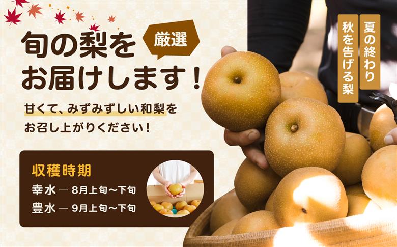 【2026年予約販売】溢れる 果汁 ジューシー な 梨 幸水 豊水 秀品 約10kg〈2026年8月下旬～9月中旬発送〉| 果物 くだもの フルーツ 梨 和梨 幸水 豊水 長野県 信州 南信州 飯田市