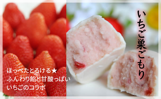 フルーツ な 巣ごもり たち 12個入 | 和菓子 お菓子 お茶請け 餡子 和風 スイーツ お土産 贈り物 長野県 飯田市 信州