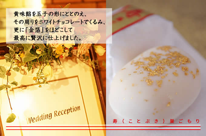 寿 巣ごもり 8個入り | 和菓子 お菓子 お茶請け 餡子 和風 スイーツ お土産 贈り物 長野県 飯田市 信州