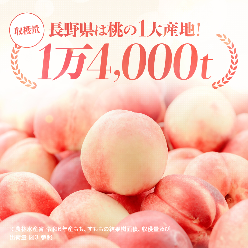 南信州産「桃」約3kg〈あかつき・白鳳〉【2026年7月より順次発送】 | 果物 くだもの フルーツ 柿 桃 もも あかつき 白鳳 長野県 信州 南信州 飯田市