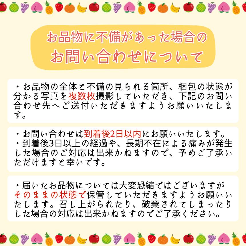 【皮ごとOK!】長野県産・種なしナガノパープル(約1kg) 秀品〈2025年8月下旬～9月下旬発送〉