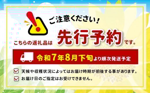 【満員御礼】溢れる果汁 ジューシーな梨(幸水・豊水) 約3kg 秀品〈2025年8月下旬～9月下旬発送〉