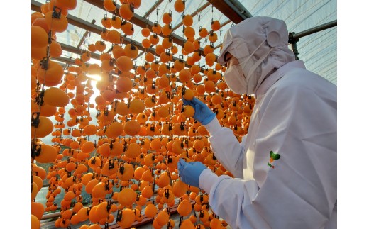 冷凍 熟成 市田柿 310g | 柿 干し柿 干しがき 果物 フルーツ 干柿 おやつ お菓子 スイーツ お取り寄せ グルメ ギフト プレゼント 贈り物 手土産 名産品 ドライフルーツ長野県 飯田市 信州 310g