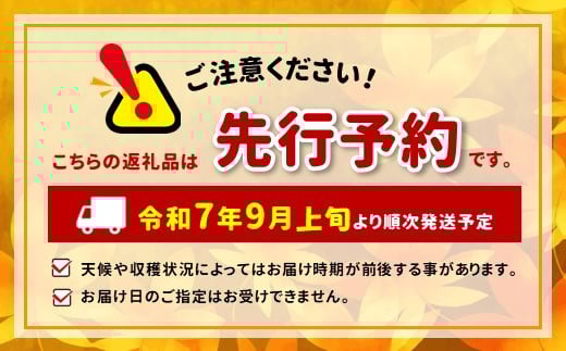 滴る程にジューシーな梨 長野県産　なし(二十世紀) 約3kg 秀品〈2025年9月上旬～9月末発送〉