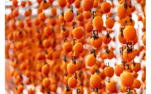 市田柿 贈答用 化粧箱入り 個包装 大粒 15粒 約420g ＪＡみなみ信州ＤＭセンター飯田市 | 柿 かき 干し柿 干しがき 市田柿 信州 国産 特産品 ドライフルーツ 果物 フルーツ くだもの 和菓子 送料無料 ふるさと納税 長野県 飯田市 贈答用化粧箱入り 大粒15粒