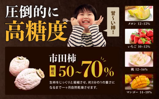 信州の特産品「市田柿」ご家庭用 800g×3袋セット＜2026年1月上旬～2月下旬発送＞