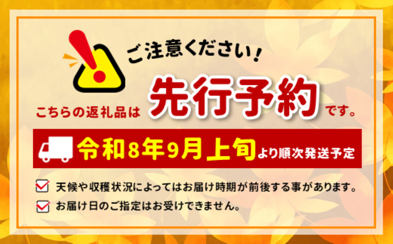 滴る程にジューシー 長野県産　なし(二十世紀) 約5キロ 秀品〈2026年9月上旬～9月末発送〉 | 果物 くだもの フルーツ 梨 なし 二十世紀梨 長野県 信州 南信州 飯田市