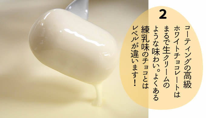 いと忠 巣ごもり 20個入 | 和菓子 お菓子 お茶請け 餡子 和風 スイーツ お土産 贈り物 長野県 飯田市 信州