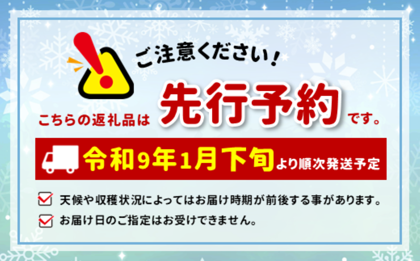 市田柿 【 みんなで楽しめる 大袋 1kg 】＜2027年1月下旬発送＞| テトテ農園 果物 くだもの フルーツ 柿 干し柿 干しがき 干柿 おやつ お菓子 ドライフルーツ 国産 長野県 信州 南信州 飯田市