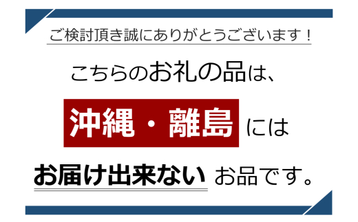 【2026先行予約】人気の品種! 長野県産 りんご ( サンふじ ) 約10kg ＜2026年11月下旬～12月中旬発送＞ | 果物 くだもの フルーツ りんご 林檎 リンゴ サンふじ 長野県 信州 南信州 飯田市