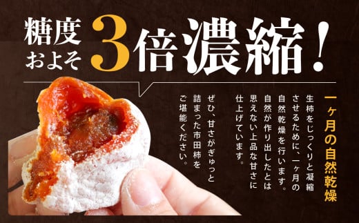 長野県産 ご家庭用 市田柿(500g×4袋)＜2026年1月上旬～2月下旬発送＞ | 果物 くだもの フルーツ 柿 かき 市田柿 長野県 信州 南信州 飯田市