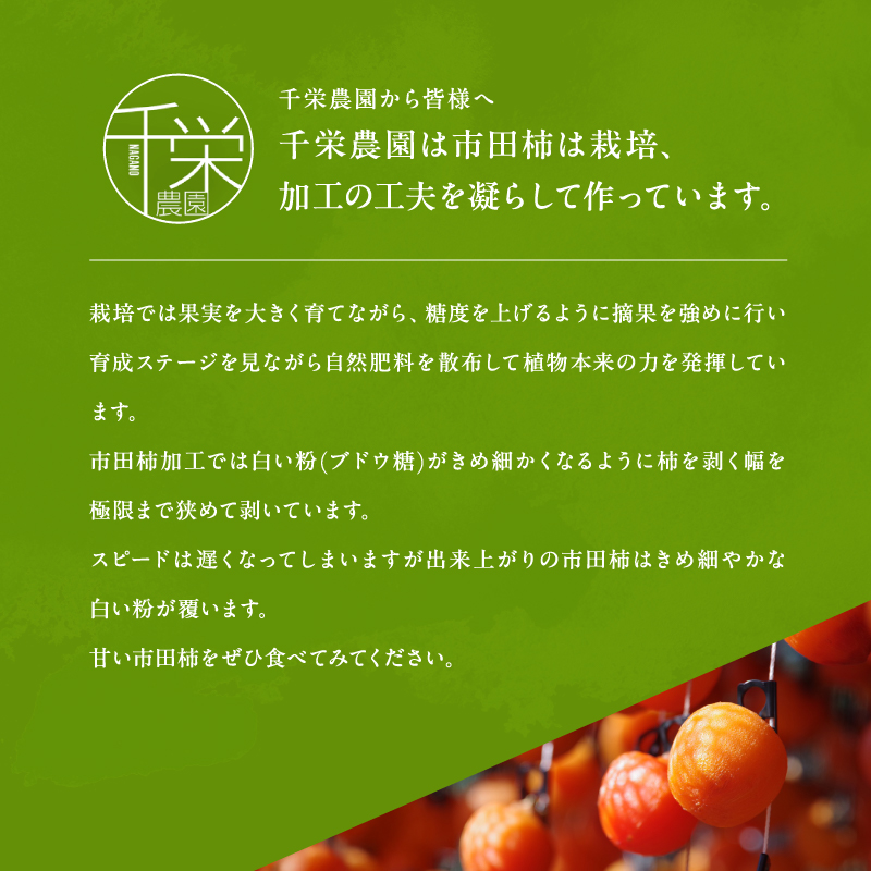 南信州産 市田柿 バラふぞろい 600g |  加工品 ドライフルーツ 果物 フルーツ 柿 市田柿 干し柿 長野県 飯田市 信州 600g