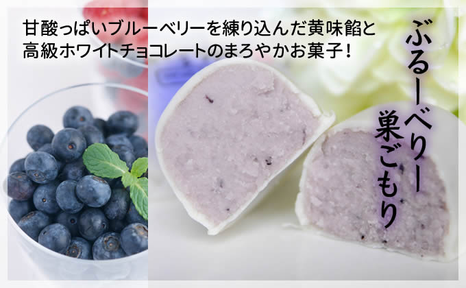 フルーツ な 巣ごもり たち 15個入 | 和菓子 お菓子 お茶請け 餡子 和風 スイーツ お土産 贈り物 長野県 飯田市 信州