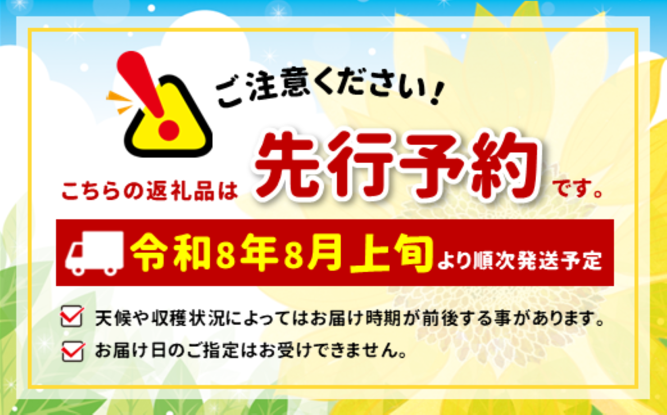 生でも美味しい! 南信州産 ・ 甘旨 フルーツとうもろこし 【6本】＜2026年8月上旬～発送＞| テトテ農園 とうもろこし トウモロコシ 野菜 ジューシー 農家直送 栄養 健康 生食 茹で 焼き おやつ おつまみ 長野県 飯田市 信州