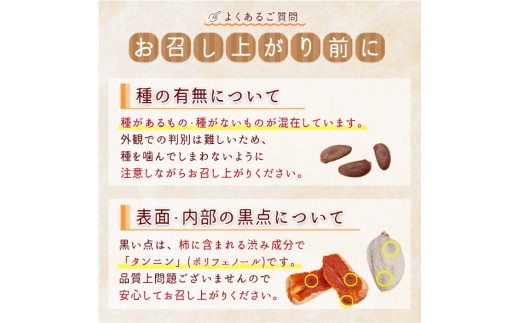 冷凍 熟成 市田柿 500g | 柿 干し柿 干しがき 果物 フルーツ 干柿 おやつ お菓子 スイーツ お取り寄せ グルメ ギフト プレゼント 贈り物 手土産 名産品 ドライフルーツ長野県 飯田市 信州 500g