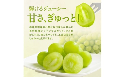 【大人気!】長野県産・シャインマスカット(約1kg) 秀品〈2025年9月中旬～11月上旬発送〉
