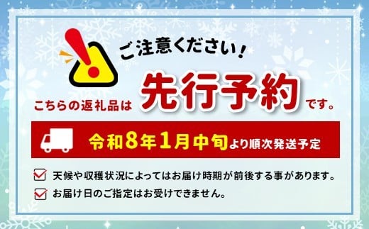市田柿 バラ ふぞろい 500g パック × 2袋 ( 約1kg ) ＪＡみなみ信州ＤＭセンター | 柿 かき 干し柿 干しがき 市田柿 信州 国産 特産品 ドライフルーツ 甘い 果物 フルーツ くだもの 送料無料 ふるさと納税 長野県 飯田市 バラふぞろいパック 500g×2袋
