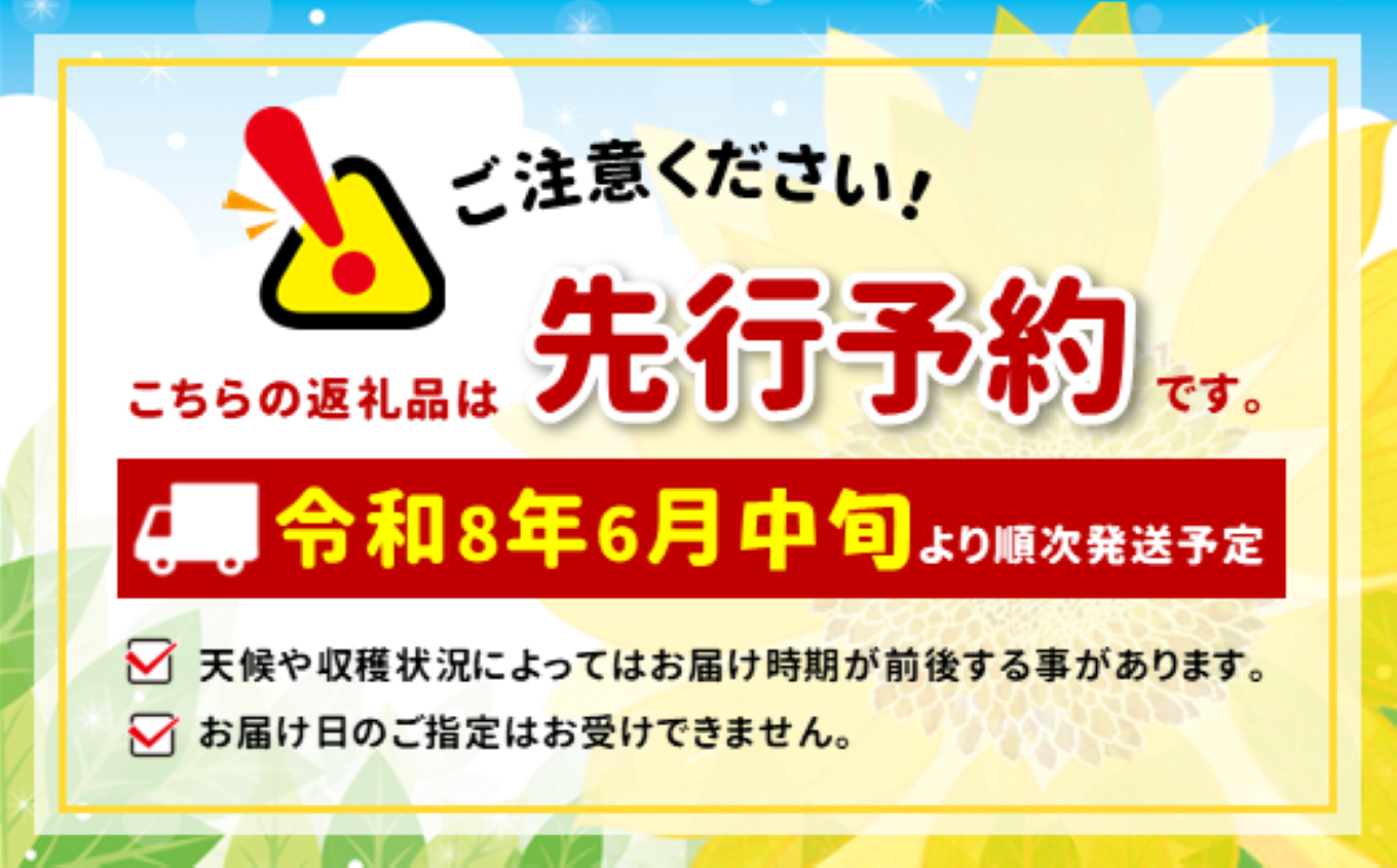 南信州産 生ブルーベリー 約100ｇ × 12パック <2026年6月中旬～順次発送予定> ＪＡみなみ信州ＤＭセンター | 生ブルーベリー ブルーベリー 果物 くだもの フルーツ 信州 南信州 送料無料 ふるさと納税 長野県 飯田市