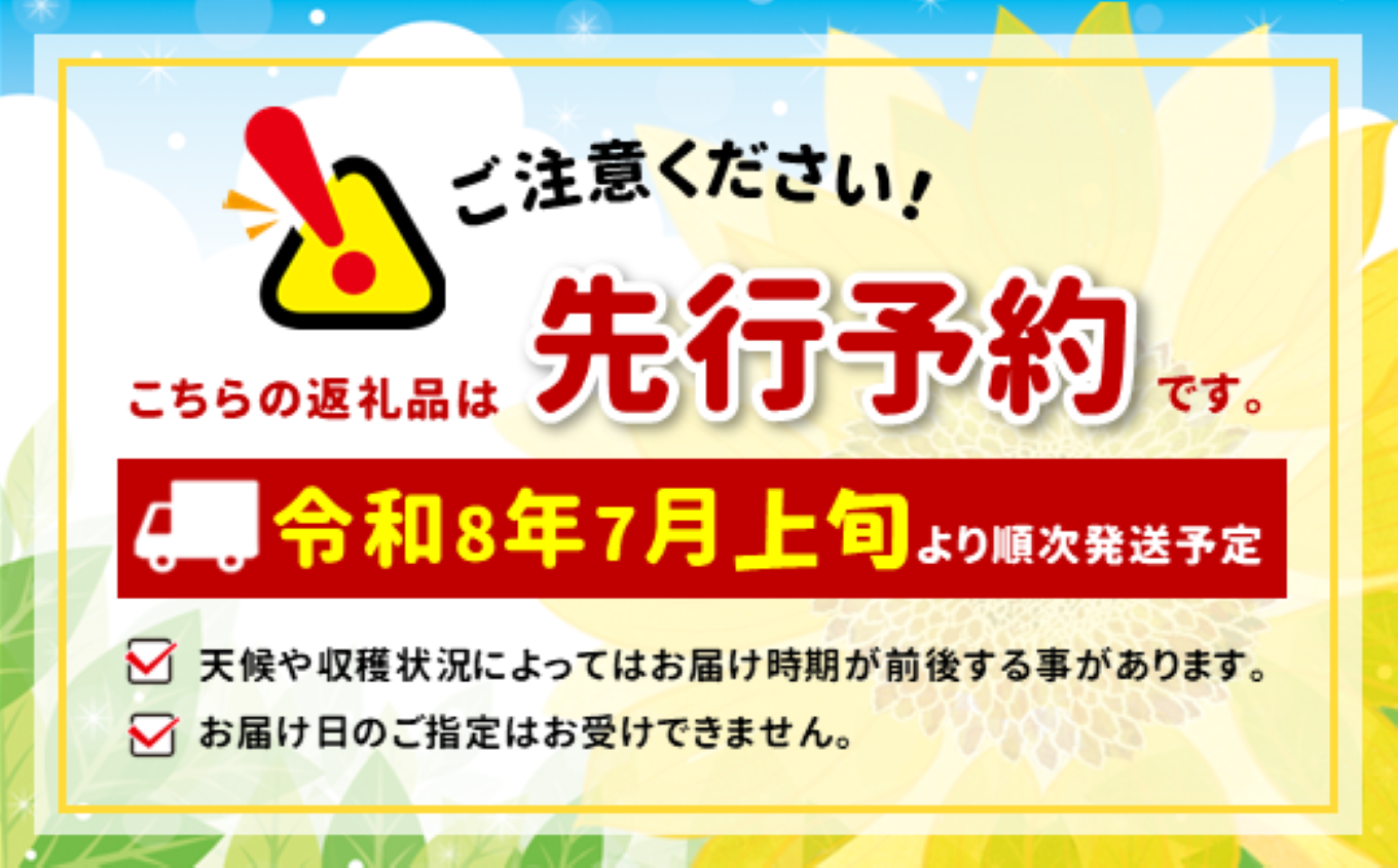 とうもろこし 2色 セット 6本 入り ホワイトショコラ サニーショコラ | 農家直送 トウモロコシ 甘い 野菜 ジューシー みずみずしい 生食 茹で 焼き 栄養 おやつ 長野県 南信州 飯田市