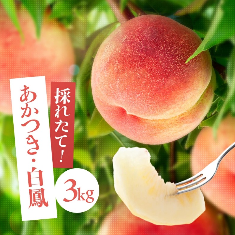 南信州産「桃」約3kg〈あかつき・白鳳〉【2026年7月より順次発送】 | 果物 くだもの フルーツ 柿 桃 もも あかつき 白鳳 長野県 信州 南信州 飯田市