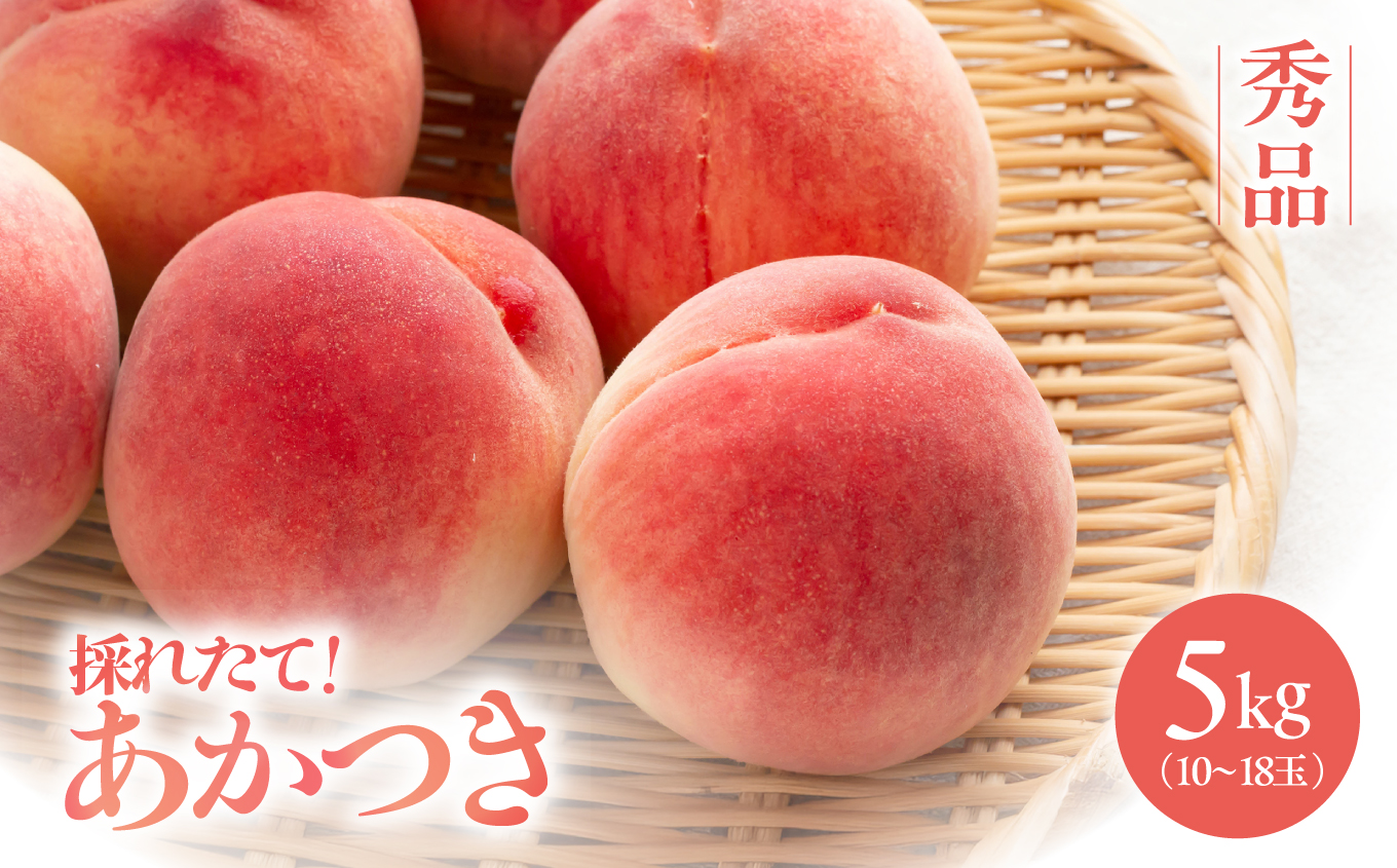 【2026先行予約】 桃 南信州産 あかつき 約5kg 秀品 | もも モモ 果物 くだもの フルーツ ジューシー 信州 南信州 送料無料 先行予約 ふるさと納税 長野県 飯田市