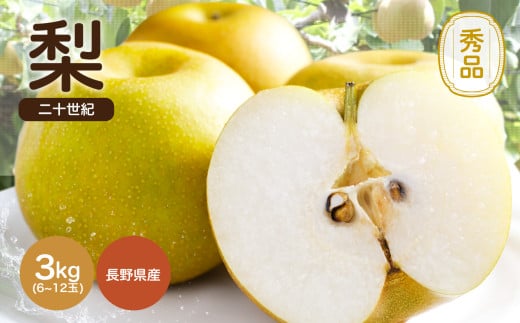 滴る程にジューシーな梨 長野県産　なし(二十世紀) 約3kg 秀品〈2025年9月上旬～9月末発送〉