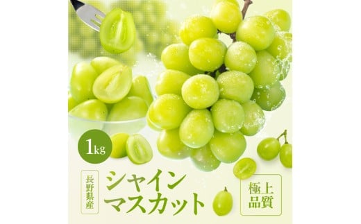 【大人気!】長野県産・シャインマスカット(約1kg) 秀品〈2025年9月中旬～11月上旬発送〉