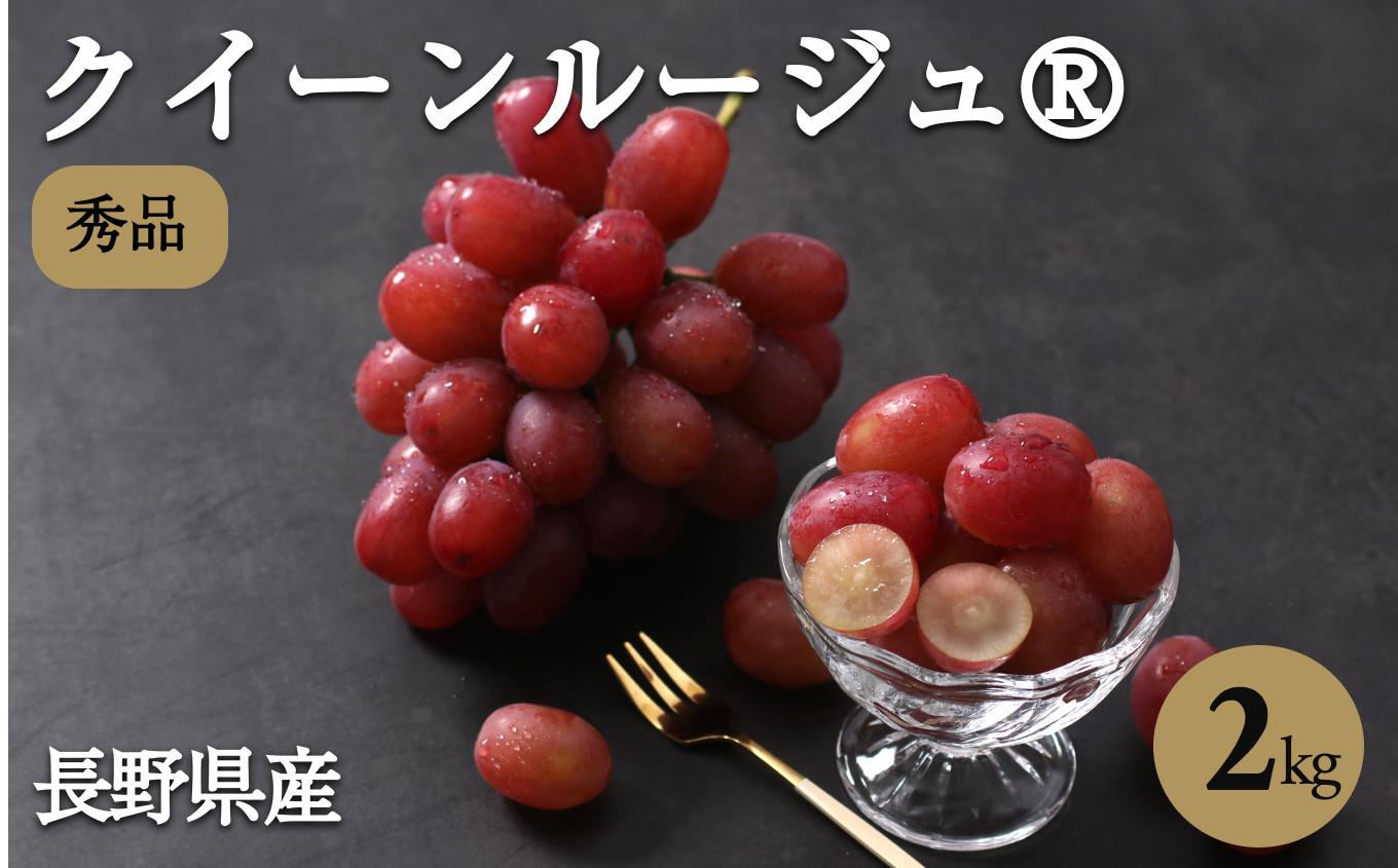 【2026先行予約】産地厳選! 長野県産 クイーンルージュ ® 秀品 約2kg〈2026年10月中旬～11月上旬発送〉| 果物 くだもの フルーツ ぶどう ブドウ 葡萄 クイーンルージュ® 種なし 長野県 信州 南信州 飯田市