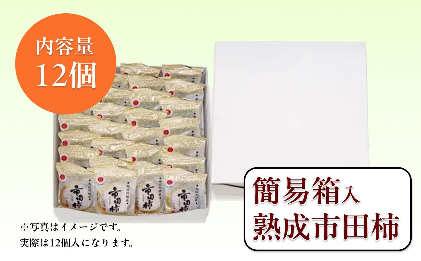 冷凍 熟成 市田柿 贈答用 12個 | 柿 干し柿 干しがき 果物 フルーツ 干柿 おやつ お菓子 スイーツ おつまみ お取り寄せ グルメ ギフト プレゼント 贈り物 手土産 名産品 ドライフルーツ長野県 飯田市 信州 12個