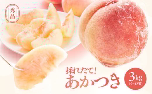 【2026年予約販売】 長野県産 桃 あかつき 秀品 約3kg〈2026年7月中旬～8月中旬発送〉| 桃 もも モモ あかつき 長野県 産地直送 くだもの 果物 フルーツ デザート 送料無料 長野県 飯田市