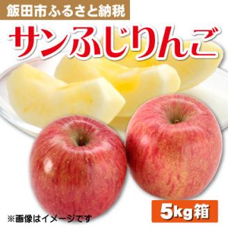 [12月中旬より順次発送予定]南信州産りんご サンふじりんご 5kg