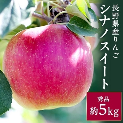 香りも良く食べやすい! 長野県産 りんご(シナノスイート)約5kg 秀品[9月中旬〜10月末発送]