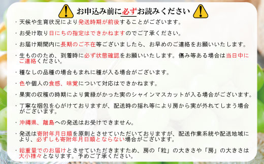 秋に届く】至福の果実箱B（3～6種類）（500g以上のシャインマスカット1房が必ず入ります）《信州うちやま農園》□2024年発送□※10月上旬頃～11月 中旬頃まで順次発送予定: 須坂市ANAのふるさと納税