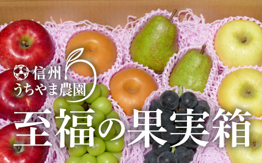 秋に届く】至福の果実箱B（3～6種類）（500g以上のシャインマスカット1房が必ず入ります）《信州うちやま農園》□2024年発送□※10月上旬頃～11月 中旬頃まで順次発送予定: 須坂市ANAのふるさと納税