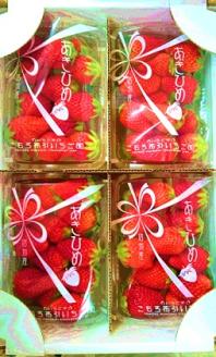 小諸産いちご4パック詰め合わせ