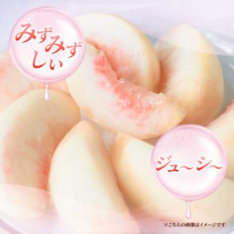 先行予約 2026年発送 浅間水蜜桃 もも あかつき 秀品 約5kg ふるさと納税 長野県産 小諸市 桃 果物 フルーツ モモ 果肉