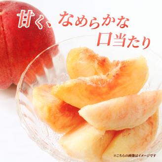 2026年発送 先行予約 「浅間水蜜桃プレミアム」 もも なつっこ 秀品 約2kg 5～9玉 ふるさと納税 果物 桃 フルーツ モモ 果肉 長野県産 小諸市