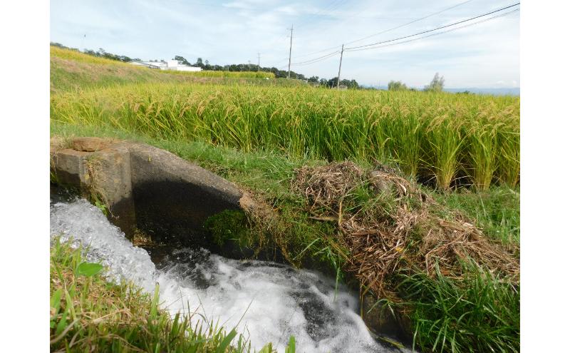 小諸市糠地産こしひかり「深沢清流米」2kg　長野 信州 コシヒカリ 精米 美味しいお米 お取り寄せ おこめ 白米