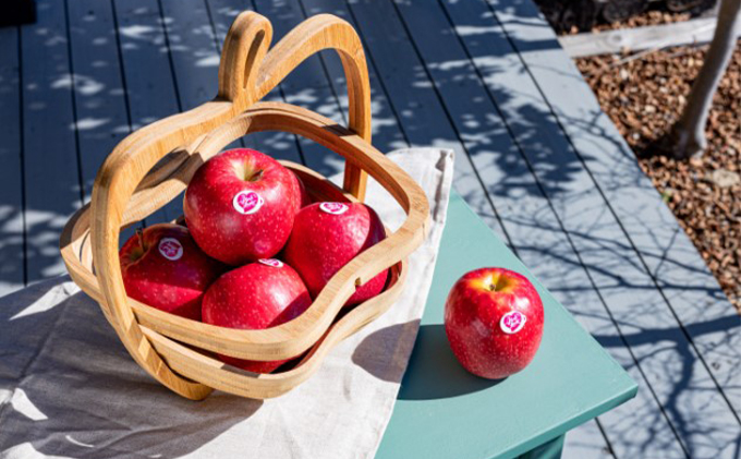 中松井農園 ピンクレディー約5kg 20～25玉 果物 フルーツ りんご 長野県産 信州 信州のリンゴ 酸味 小ぶり 芳醇 風味 クッキングアップル デザート 食後 爽やかな酸味 希少