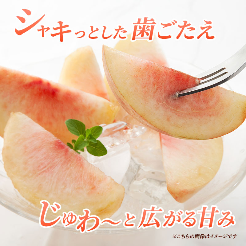 先行予約 2026年発送 浅間水蜜桃 もも 川中島白桃 秀品 約5kg ふるさと納税 長野県産 小諸市 桃 果物 フルーツ モモ 果肉