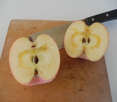 大森園のりんご(サンふじ)　特秀品　約5kg